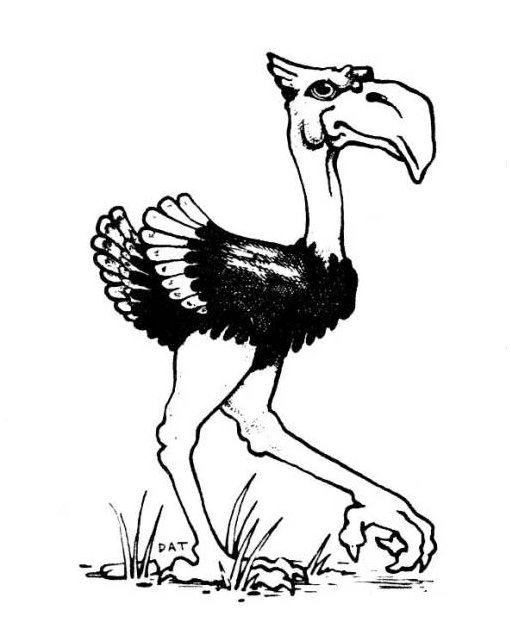 photo of axe beak from D&D monster manual in black and white 