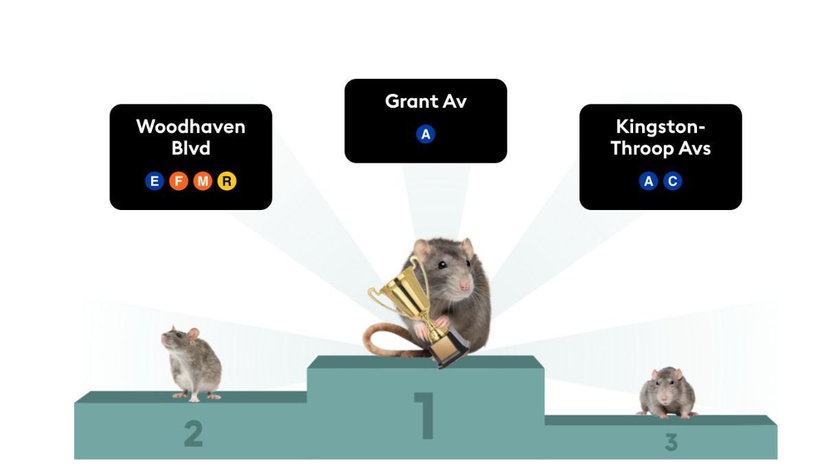 Transit app tracks the rats in the NYC subway stops